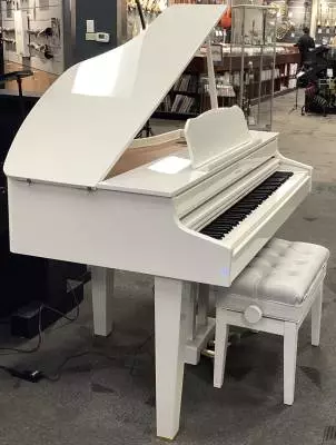 Roland - GP607-PW-B 2